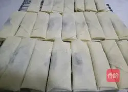 Illustration of how to wrap spring rolls 16