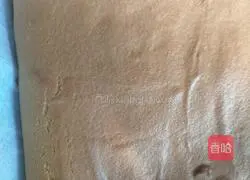 Soy Milk Box Recipe Illustration 15