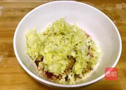 Illustration of how to make family version of pot stickers 4