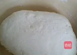 Leek Box Recipe Illustration 3