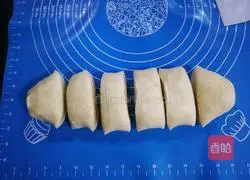 Illustration of how to make coconut hamburger embryos (Polish species) 7