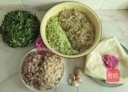 Six Illustration of making spring rolls 1