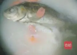 Illustration of how to make crucian carp soup rice noodles 3