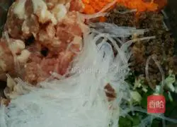 Vietnamese Spring Rolls Recipe Illustration 3