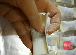 Spring roll recipe illustration 3