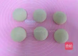 Illustration of how to make hamburger embryos 8