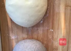 Illustration of two-color hair cake 2