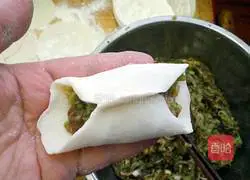 Zucchini pot stickers recipe 9