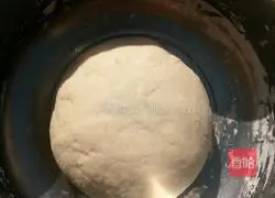 Illustration of how to make hamburger embryos 1