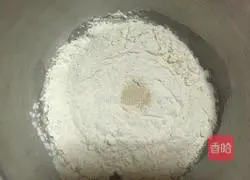 Illustration of how to make hamburger embryos 2