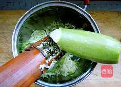 Zucchini pot stickers recipe 2