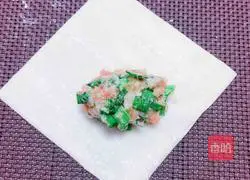 Illustration of how to make mini spring rolls 2