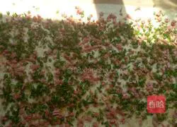 Illustration of how to make spring onion and ham rolls 11