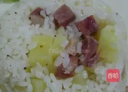 Illustration of ham and potato braised rice 11 