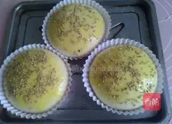 Illustration of how to make hamburger embryos 9