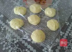 Illustration of how to make hamburger embryos 6