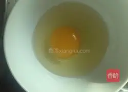 Spring roll recipe illustration 5