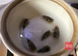 Illustration of how to make shrimp porridge 5