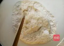 Illustration of homemade small Yuanxiao (without stuffing) 3