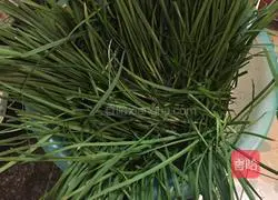 Illustration of how to make leek box 1