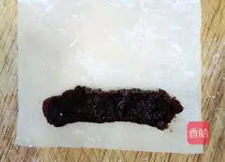 Illustration of homemade spring rolls 2