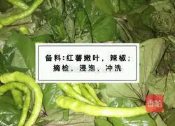 How to make sweet potato leaf steamed buns Illustration 1