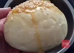 Hamburger embryo (Small meal package) illustration 16