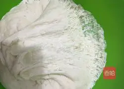 Leek Box Recipe Illustration 9