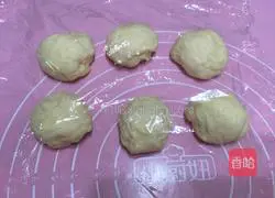 Illustration of how to make hamburger embryos 6