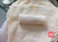 Chicken spring rolls recipe 10