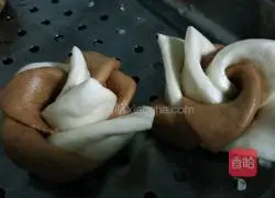 Petals and flower rolls Practice illustration 10