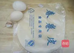 Illustration of how to make vegetarian spring rolls 1