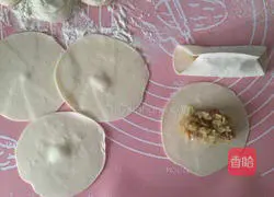 Illustration of how to make pot stickers 9