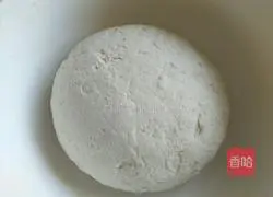 Fresh green onion rolls Illustration of how to do it 3