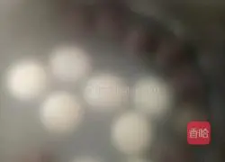 Fruit Lantern Festival Illustration 5