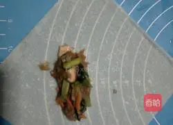 Spring roll recipe illustration 11