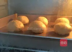 Illustration of how to make hamburger embryos 11