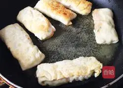 Illustration of homemade assorted spring rolls 5