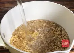 Illustration of how to make bitter millet porridge 1