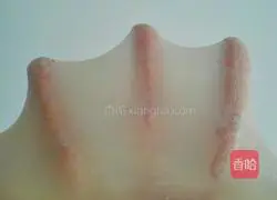 Illustration of how to make hamburger embryos (one-time fermentation) 1