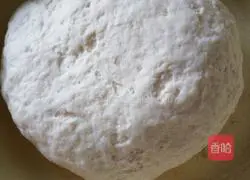 Illustration of how to make pot stickers 4