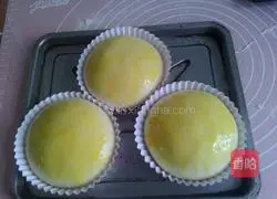 Illustration of how to make hamburger embryos 8