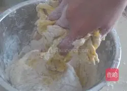 Pumpkin cold noodles Practice illustration 3