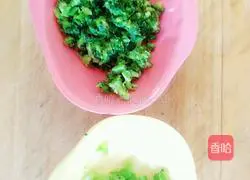 Xiaoqing New Zealand Flower Rice Ball Recipe 4