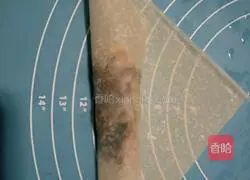 Spring roll recipe illustration 12