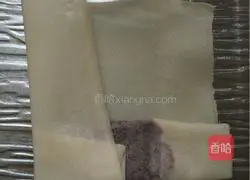 Spring roll recipe illustration 6