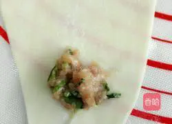 Illustration of how to make small wontons stuffed with pork and coriander 5