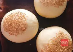 Illustration of how to make poolish (Polish) hamburger embryos 10