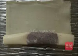 Spring roll recipe 5