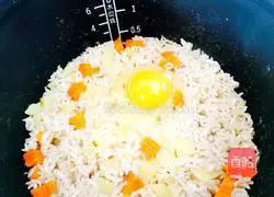 Illustration of rice cooker baked rice 6